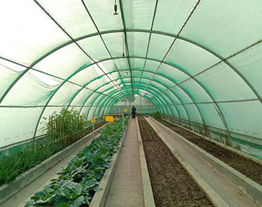 footer-instagram-img-6