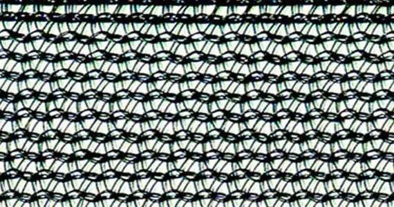 upcoming-events-img-2